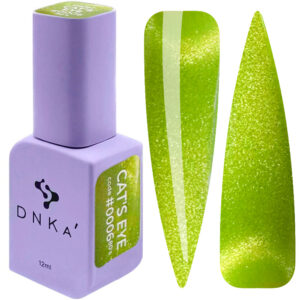Esmalte  semipermanente DNKA Ojo de gato Años 80 #0006